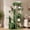 Green, variant on Babevy 61" Maine Coon Cat Tree, Heavy-Duty Tower with Extra-Large Perch, 2 Condos & 7 Sisal Scratching Posts for Large Indoor Cats