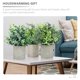 thumbnail image 3 of WEUVEB 1Jgo Planta Decorativa Artificial Colgante Con Material Duradero Y, 3 of 7