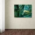 thumbnail image 3 of Trademark Fine Art 'The Rock In The Pond' Canvas Art by Joaquim Mir, 3 of 3