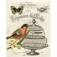 thumbnail image 2 of Babbitt, Gwendolyn 12x14 White Modern Wood Framed Museum Art Print Titled - Music Bird I, 2 of 4