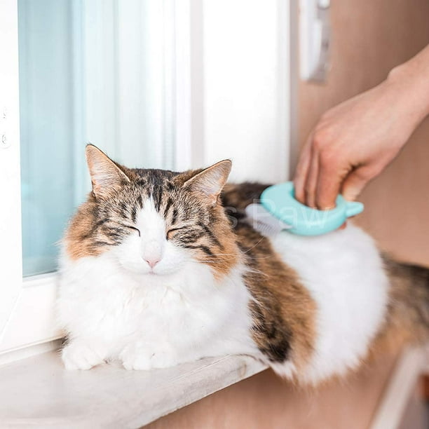 Pet Hair Removal Massaging Shell Comb Soft Deshedding Brush