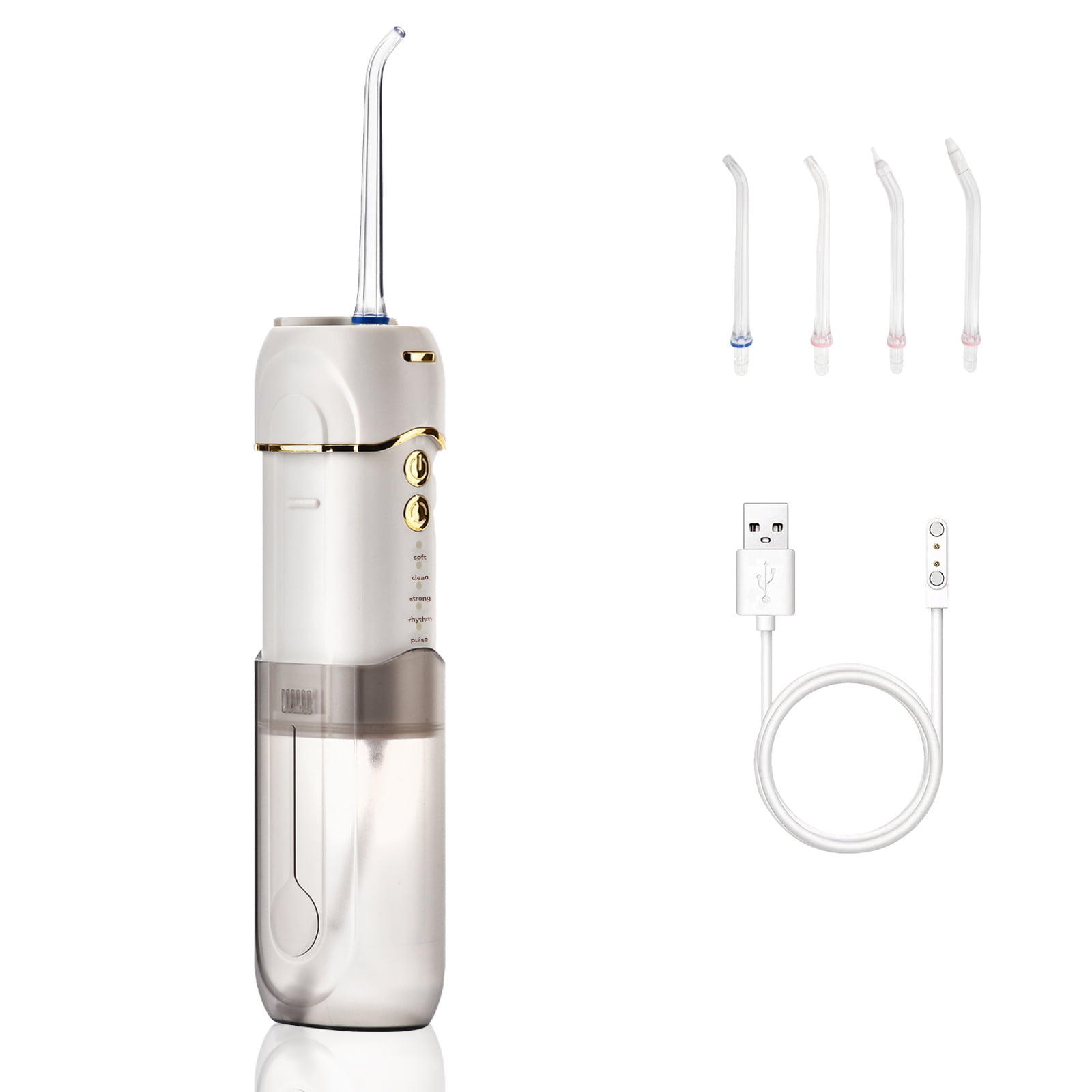 Water Flosser,iTeknic Electric Flosser 600ML Professional Electric