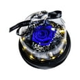 thumbnail image 2 of Lssam Eternal Roses Flores Eternas in Glass, Natural Looking Preserved Rose Gift for Women, Mom, Grandma with LED for Birthday, Christmas Home Decor, 2 of 9