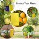 thumbnail image 5 of Paquete de 40 trampas adhesivas amarillas de doble cara para mosquitos de hongos, pulgones, moscas blancas, mineros de hojas, trips, mosquitos y otras plantas voladoras (se incluyen lazos giratorios) LIGHTSMAX YSTX20-1, 5 of 6