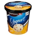 thumbnail image 2 of Chapman's Frozen Yogurt Salty Caramel and Vanilla Bean in a Tub, 2L, 2 of 5