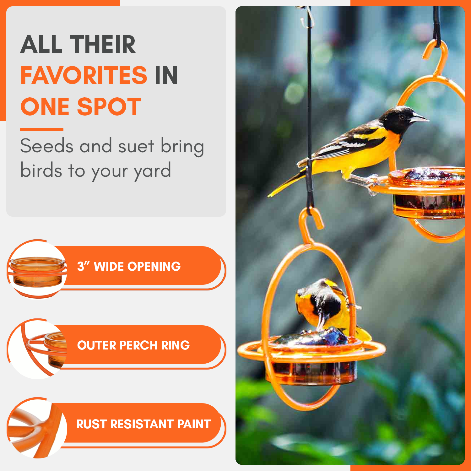 Mosaic Birds Hummble Bold Hanging Bird Feeder for Outdoors, Oriole, Finch Wild Bird Feeders - Orange