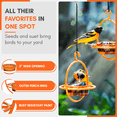 thumbnail image 4 of Mosaic Birds Hummble Bold Hanging Bird Feeder for Outdoors, Oriole, Finch Wild Bird Feeders - Orange, 4 of 9