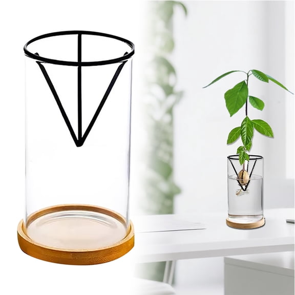 Growing Set Glass Vase With Wooden Stand Propagation Set | Elegant 3 Piece Growing System Home Gardening Display For Women And Green Thumb