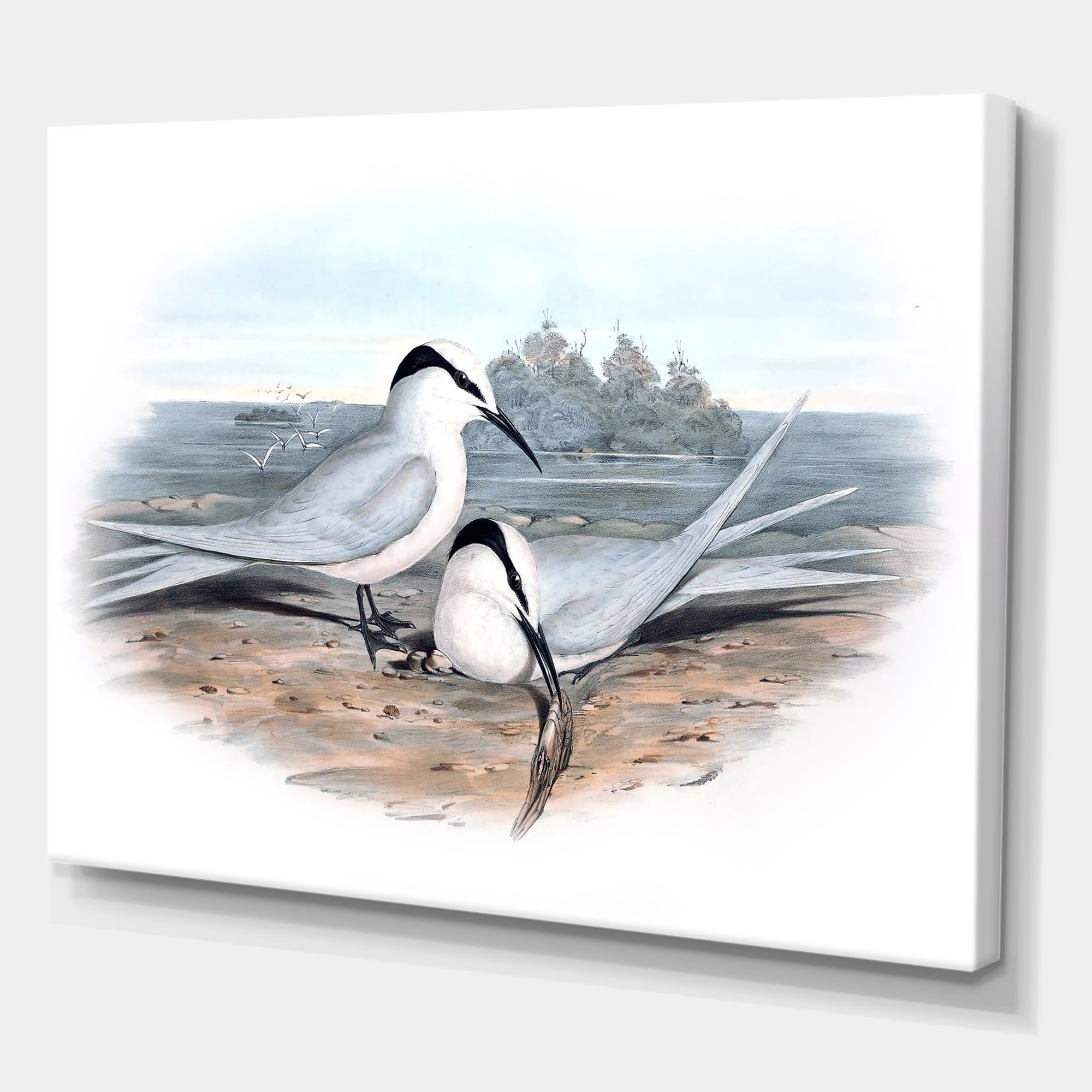 Ancient Birds In The Wild IX 40 in x 30 in Painting Canvas Art Print, by Designart