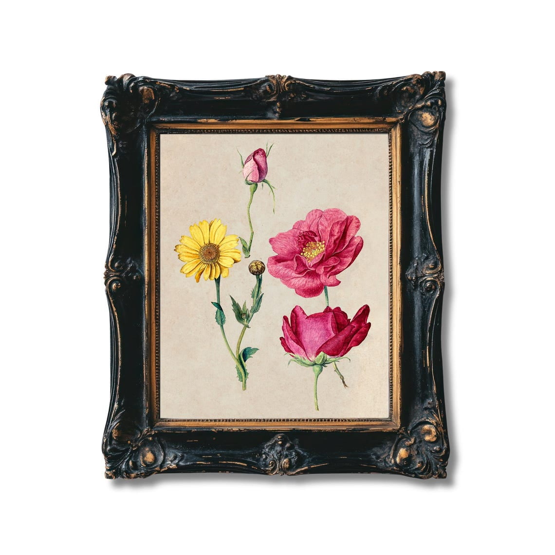 Vintage Botanical Pink Rose And Yellow Daisy Wall Art Print Floral Botanical Bedroom And Living Room Decor