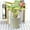 Beige, variant on Flowerpots with Dish Ceramic, Milisten 1 Set Rattan Flower Pot Large Planter Mini Succulent Plants Plant Pots for Garden Vegetable Planter Pot Plant Pots Indoor Mini Planter Pots, Flower Pots