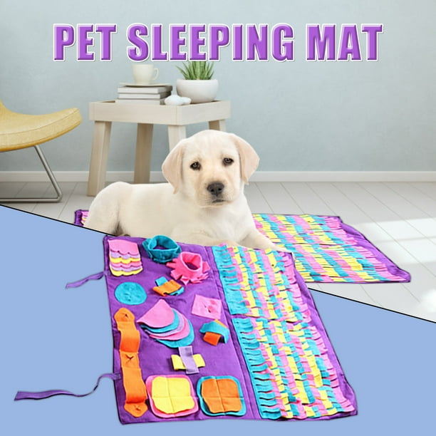 Sniffing carpet store