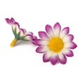 thumbnail image 3 of 100 Unids Gerbera Artificial Margarita Seda Cabezas de Flores Boda Fiesta Jardín Decoración de Arte De Boda DIY Blanco con rojo violáceo. Zulema Gerbera Daisy Head Flower, 3 of 6
