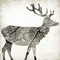 thumbnail image 2 of Grey, Jace 20x20 White Modern Wood Framed Museum Art Print Titled - Wood Deer, 2 of 4
