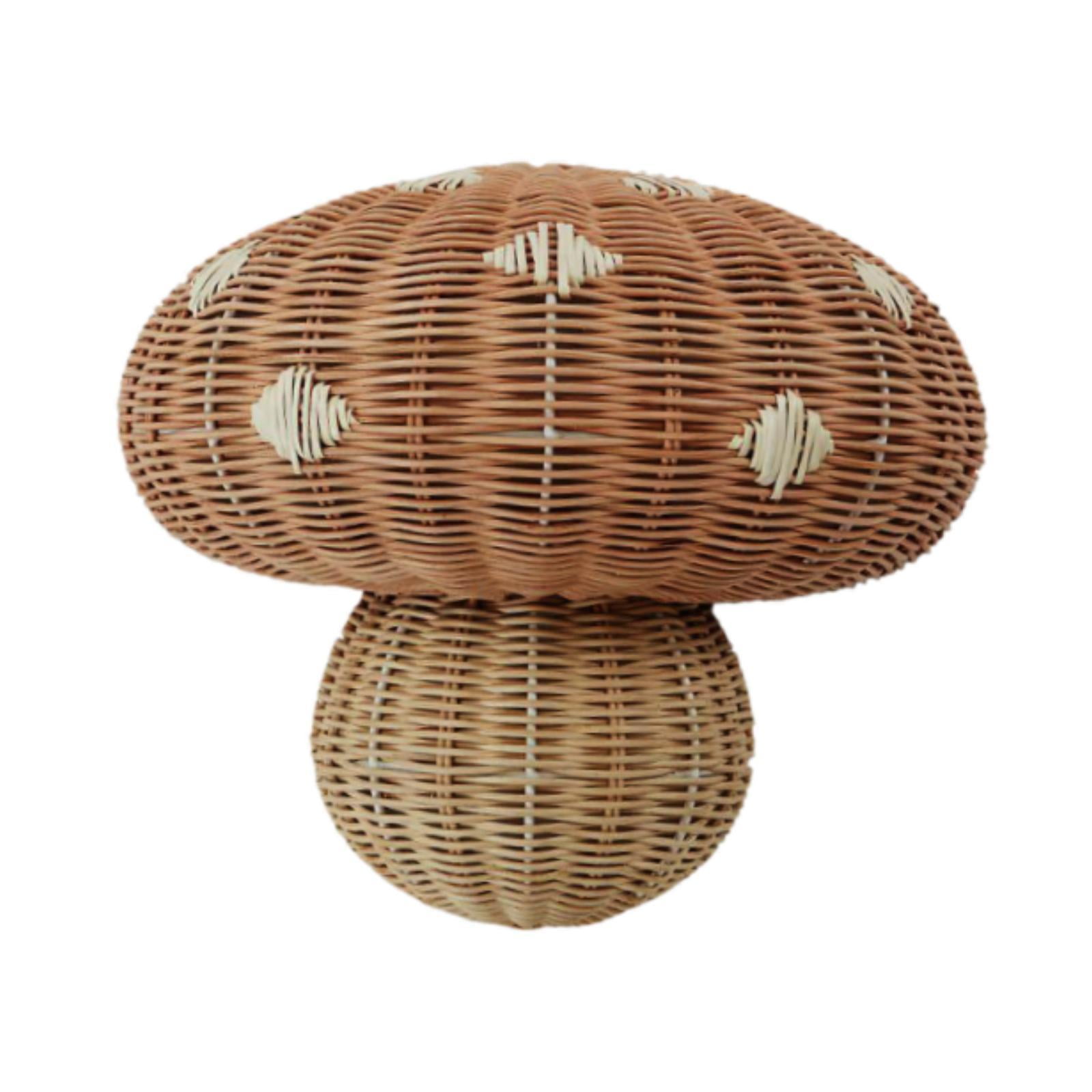 Bothyi Wall Hanging Lamp Shade Handwoven Lampshade Shaped Boho Retro Lamp Bulb