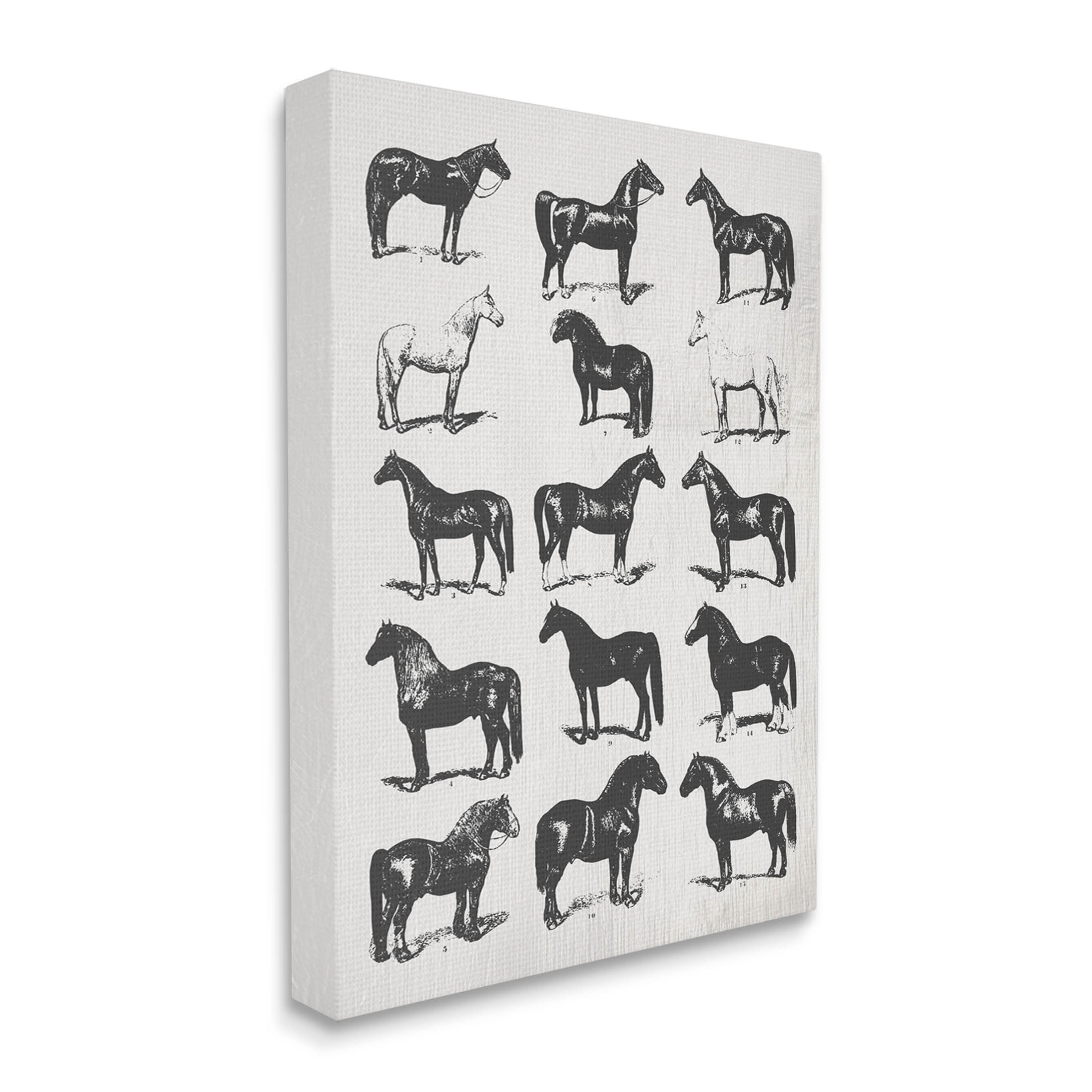 Stupell Industries Vintage Varied Horse Breeds Graphic Art Gallery Wrapped Canvas Print Wall Art, Design by Daphne Polselli