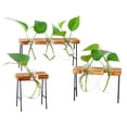 thumbnail image 3 of Miangastore Glass Planter Bulb Vase Round Glass Plant Pots Flower Plant Container Creative Hydroponic Plants Transparent Vases for Home Decor(1 Terrarium), 3 of 8