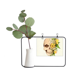 thumbnail image 1 of Flor cráneo esqueleto ilustración Marco De Metal Florero De Cerámica Decoración, 1 of 4