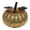 Gold, variant on 1Pcs Mercury Glass Pumpkin Lights with Timer, Battery Operated LED Halloween Pumpkin Decor, Lighted Vintage Glow Pumpkins for Fall, Thanksgiving, Rustic Harvest Table Centerpiece 5.9x6.3 Inch Gold