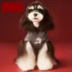 thumbnail image 5 of Ropa Para Perros Otoño E Invierno, 5 of 8