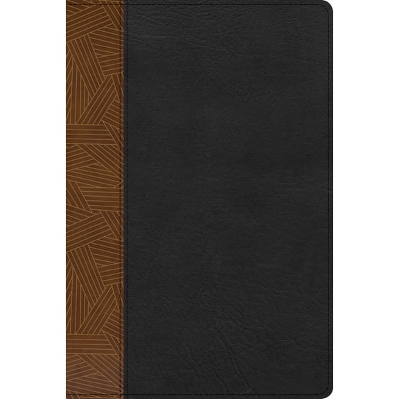 Rvr 1960 Biblia de Estudio Arcoiris, Tostado/Negro SÃ­mil Piel, (Hardcover)