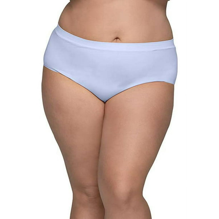 Fruit of the Loom 10 Pack Womens No Show Seamless Underwear, Amazing  Stretch & No Panty Lines Nylon Briefs,9