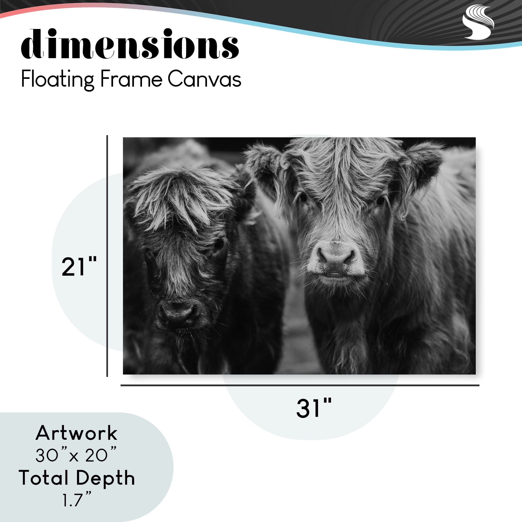 Cow Faces on Farm Gray Framed Floater Canvas Wall Art, design by Amy Carroll