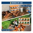 thumbnail image 7 of EastVita 8 Holes Chicken Nest Box Chicken Nesting Boxes for Laying Eggs with Ventilation Holes and AntiPeck Design Space-Saving Design Nesting Box Suitable for Hens and Ducks Orange, 7 of 7