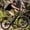 Black, variant on ESKUTE 1200W Peak Electric Bike for Adults, 21-Speed 27.5" Mountain Ebike, 28MPH, 48V 10.4Ah Removable Battery, Step-Over Design, with NFC Unlock, Black