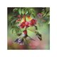 thumbnail image 1 of 5D DIY mariposa / libélula / Lobo / pájaro Animal pintura diamante punto de cruz redondo resina cristal bordado imagen regalos kenally JJ15633-04, 1 of 6