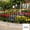 Black, variant on European Style Plastic Garden Fence, 22.8x13.4in Decorative Ornamental Border for Flower Beds & Lawns (White/Black Options)