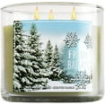 thumbnail image 1 of Bath & Body Works 3 Wick Candle 14.5 Oz Fresh Balsam, 1 of 2