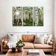 thumbnail image 2 of Elephant Stock Aspen Forest Sunburst Wall Art - Horizontal Multi Panel Canvas - Living Room Wall Decor - Floral And Botanical Multi Panel - Gray And Green Decor - 57" x 36", 2 of 4