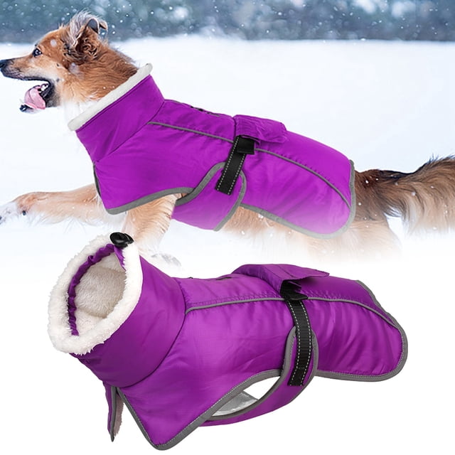 Pet Clothing Durable Winter Coat for Dogs with Padding and Built-In Warmth Zipper Back Ideal for Small to Medium Dogs