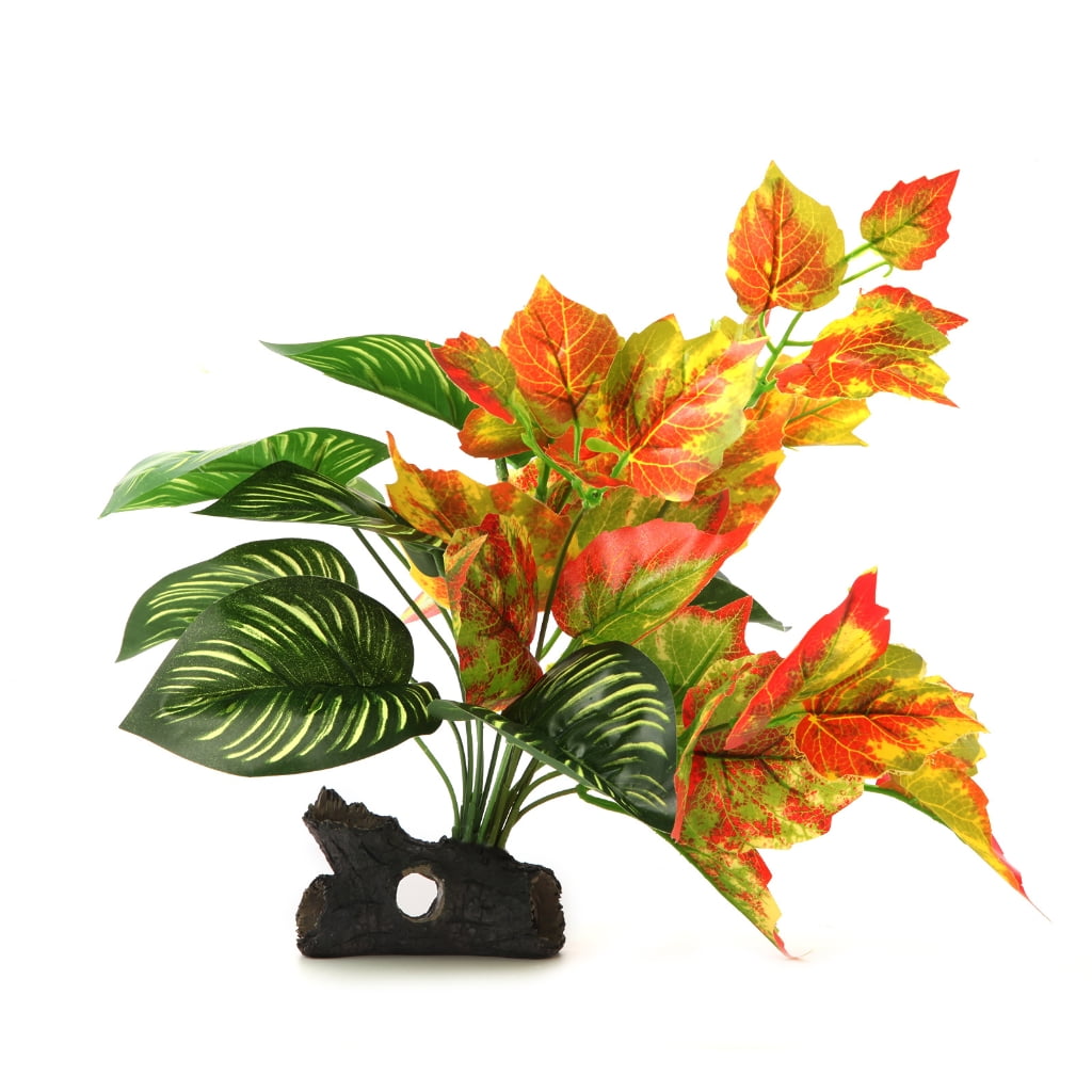 Beautiful view of Vibrant Eggshell Aquarium Decor Ideas