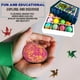 thumbnail image 3 of Bombas de baño Mineral Me California Kids with Dragon Egg Toys x12, 3 of 5