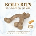 thumbnail image 4 of Nylabone Strong Chew Gourmet Style Wishbone Puppy Chew Toy Peanut Butter Small (1 Count), 4 of 14