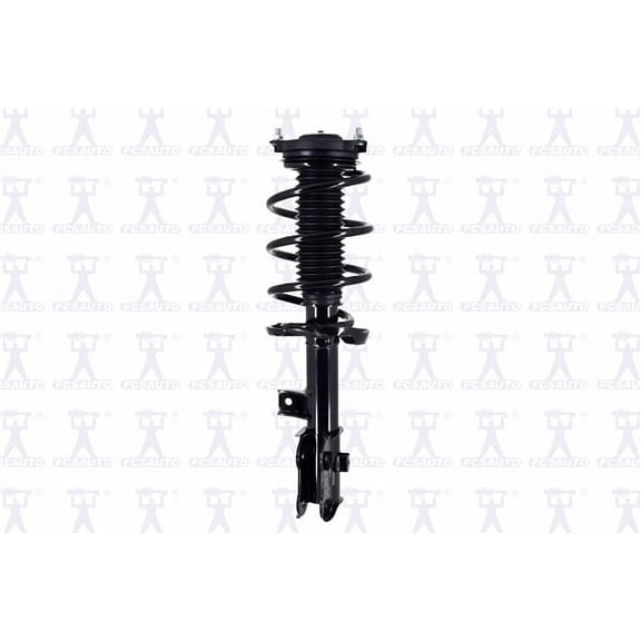 Suspension Strut and Coil Spring Assembly