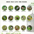thumbnail image 3 of Kozy Life 13" Tall Rustic Metal Squirrel Proof Caged Bird Feeder, Hanging Bird Feeder for Garden, 3 of 9