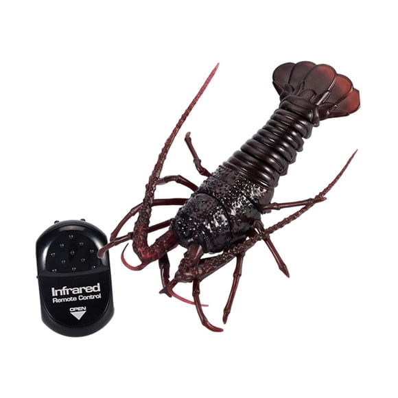 Coche de Juguete Methold Cangrejo de Control Remoto para Niños 10 cm x 16 cm