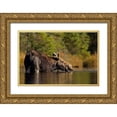 thumbnail image 1 of Cumming, Jim 14x11 Gold Ornate Wood Framed with Double Matting Museum Art Print Titled - Swimming with a moose in Algonquin Park, 1 of 4