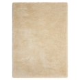 thumbnail image 3 of Kathy Ireland by Nourison Yummy Shag YUM01 Indoor Area Rug, 3 of 5