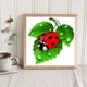 thumbnail image 3 of Cuadros Decorativos 5D DIY diamante pintura Full Square Drill mariquita en hoja pared decoración Rhinestone Ehuebsd Nuevos Originales, 3 of 8