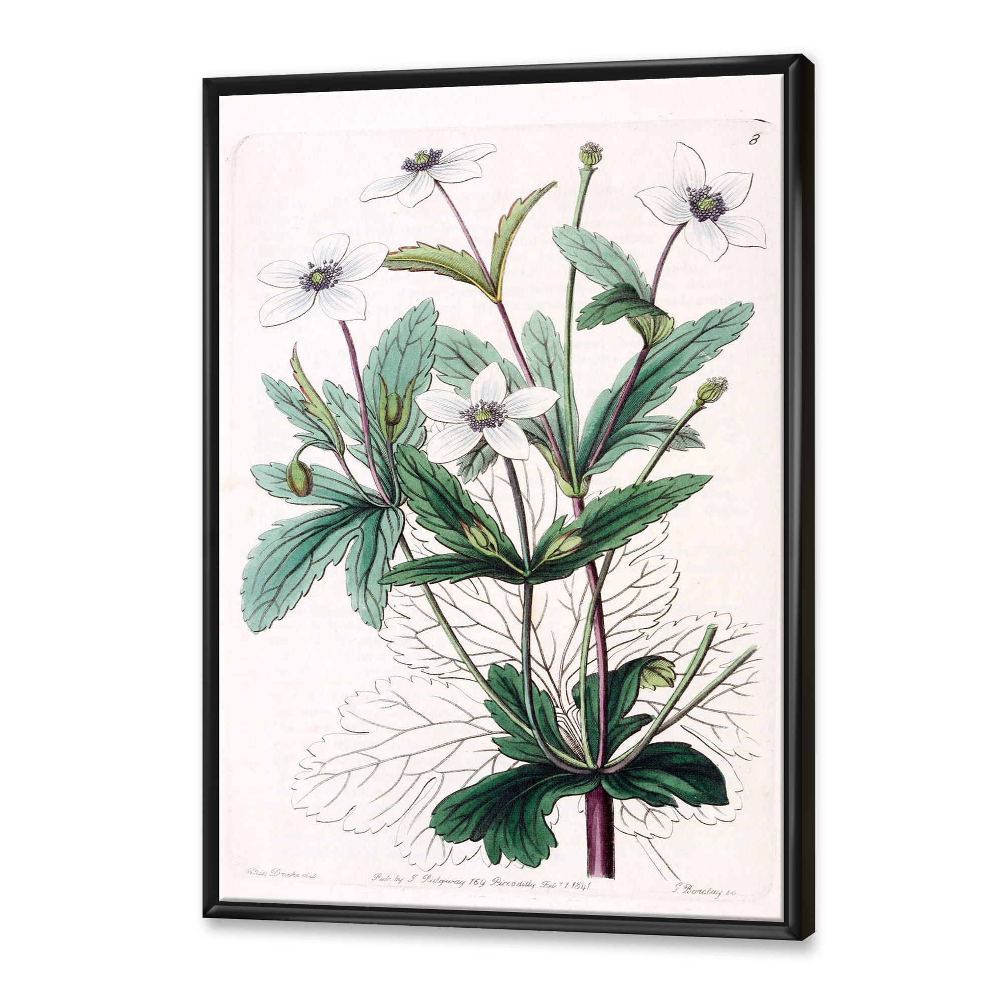 Designart 'Ancient Plant Life XXI' Traditional Framed Canvas Wall Art Print