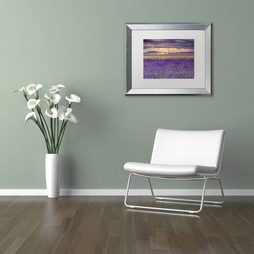 Trademark Fine Art "Lavender Sunbeams" Canvas Art by Michael Blanchette Photography White Matte, Silver Frame