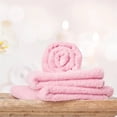 thumbnail image 6 of 10 Pack Microfiber Washcloths - Soft, Absorbent, Small Size With Hanging Loop - For Bathroom, Kitchen, Travel, ,, 6 of 6