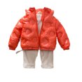 thumbnail image 2 of Godderr Kids Boys Girls Wash Free Down Coats 1-12Y Toddler Snow Down Jacket Bright Face Thickened Baby Winter Warm Hoodie Down Outerwear, 2 of 7