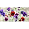 thumbnail image 2 of Thomlinson, Jenny 32x18 White Modern Wood Framed Museum Art Print Titled - Field of Pansies, 2 of 4
