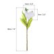 thumbnail image 2 of Uxcell Lirios Falsos, 6PCS Flores Artificiales de Lirio Flores Blancas Falsas en Jarrón para Decoración del Hogar, Blanco, Blanco 6, 2 of 5