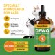 thumbnail image 2 of Suplemento herbal para gatos Special Breed, desparasitante para razas especiales, 240 ml, 2 of 5
